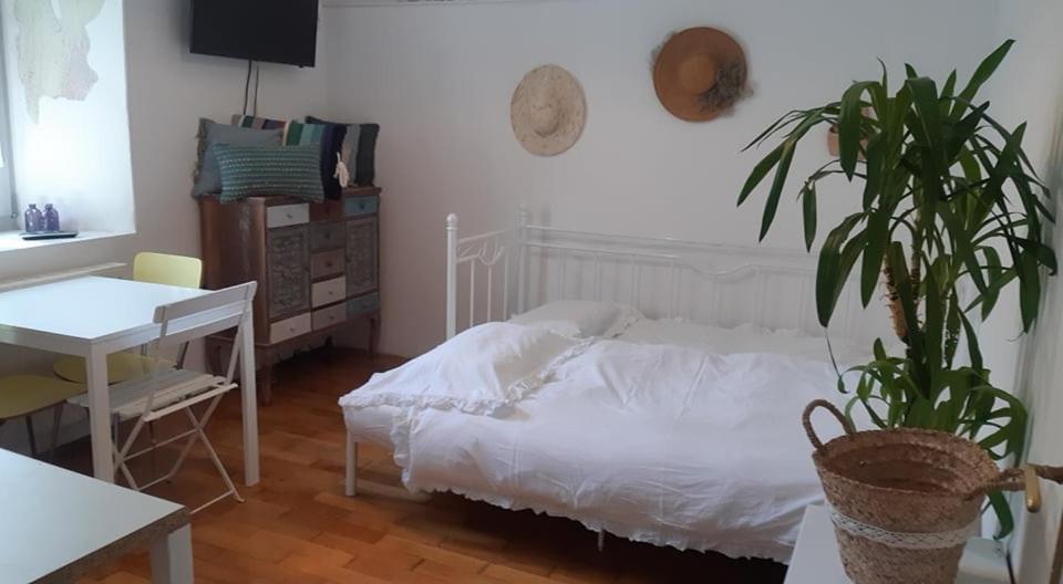 Apartament Little Garden Piran Zewnętrze zdjęcie