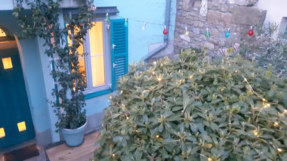 Apartament Little Garden Piran Zewnętrze zdjęcie